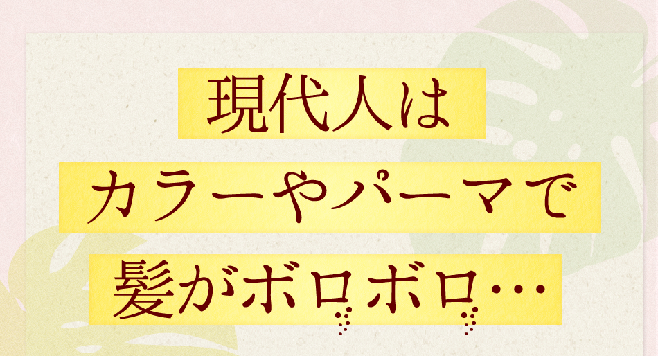 l̓J[p[}Ŕ{{EE