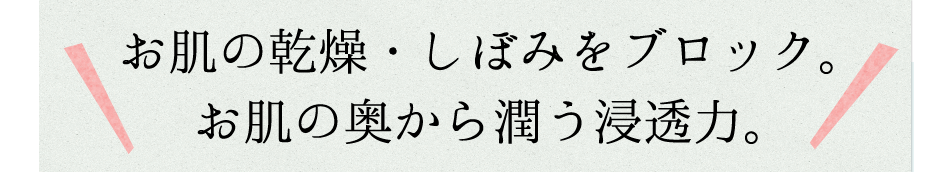 ̊Eڂ݂ubNB̉珁ŹB