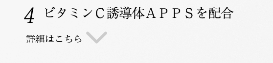 lI[GiW[gpB