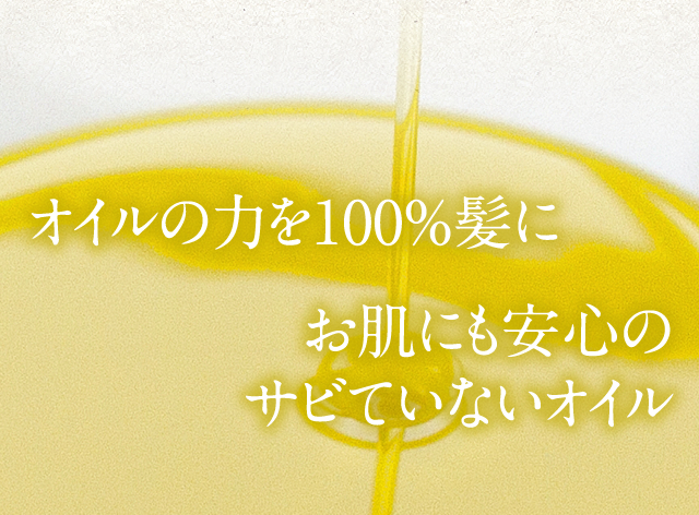 IC̗͂100ɂɂS̃TrĂȂIC