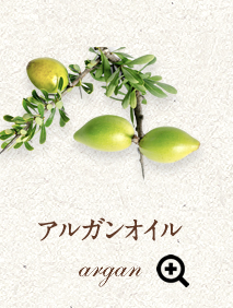 AKIC