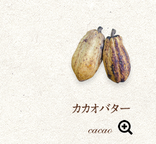 JJIo^[
